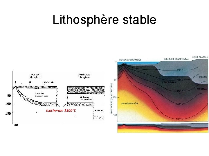 Lithosphère stable 50 100 Isotherme 1300°C 150 km 