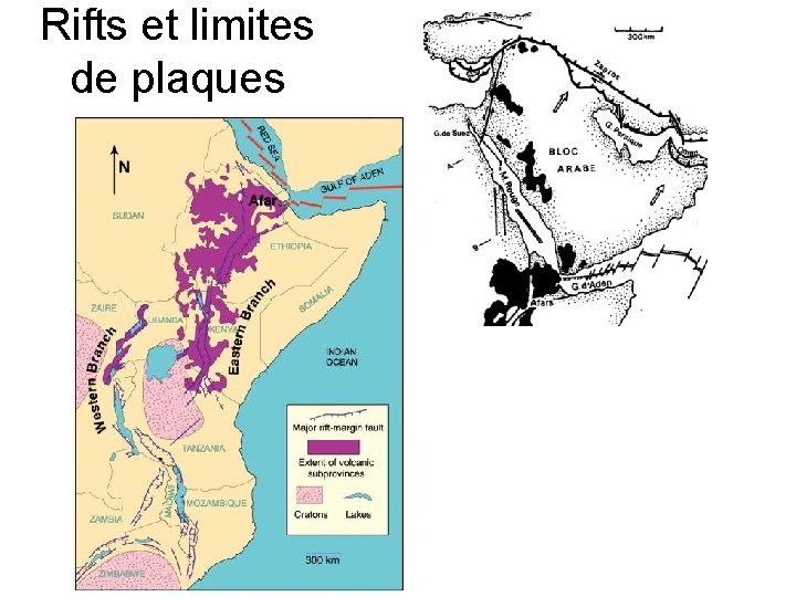 Rifts et limites de plaques 