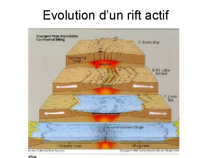 Evolution d’un rift actif 