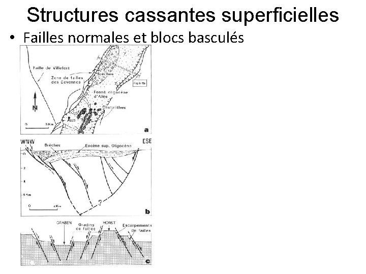 Structures cassantes superficielles • Failles normales et blocs basculés 