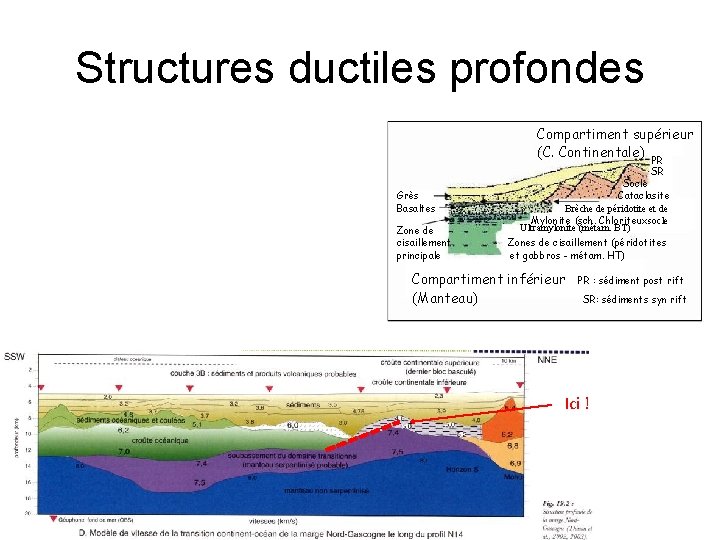 Structures ductiles profondes Compartiment supérieur (C. Continentale) PR SR Grès Basaltes Zone de cisaillement