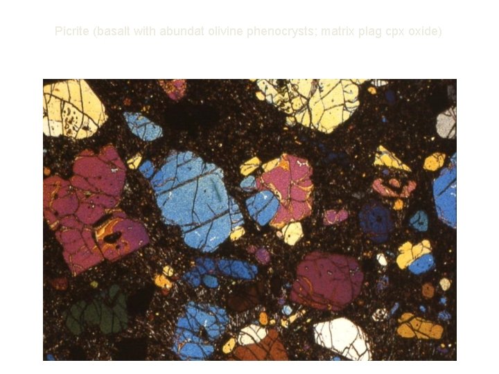 Picrite (basalt with abundat olivine phenocrysts; matrix plag cpx oxide) 