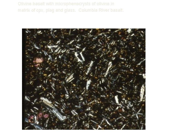 Olivine basalt with microphenocrysts of olivine in matrix of cpx, plag and glass. Columbia
