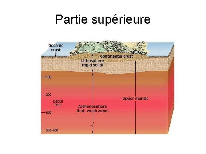 Partie supérieure 
