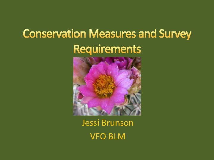 Conservation Measures and Survey Requirements Jessi Brunson VFO BLM 