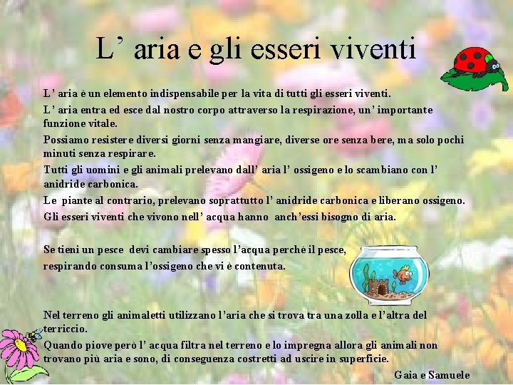 L’ aria e gli esseri viventi L’ aria è un elemento indispensabile per la