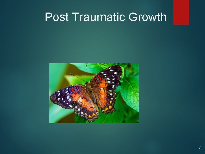 Post Traumatic Growth 7 