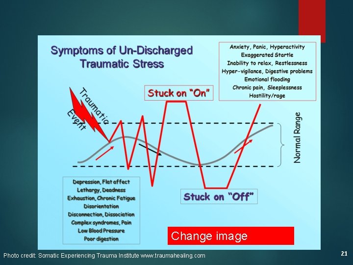 Change image Photo credit: Somatic Experiencing Trauma Institute www. traumahealing. com 21 