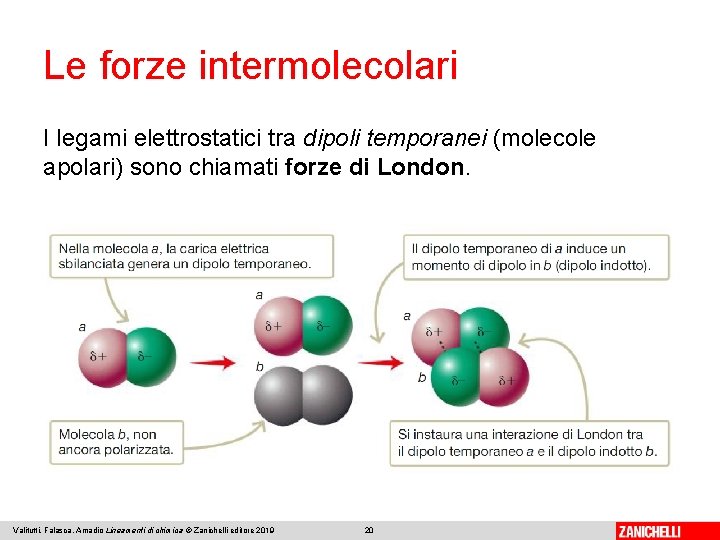 Le forze intermolecolari I legami elettrostatici tra dipoli temporanei (molecole apolari) sono chiamati forze