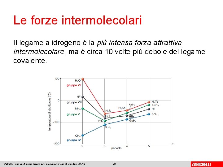 Le forze intermolecolari Il legame a idrogeno è la più intensa forza attrattiva intermolecolare,