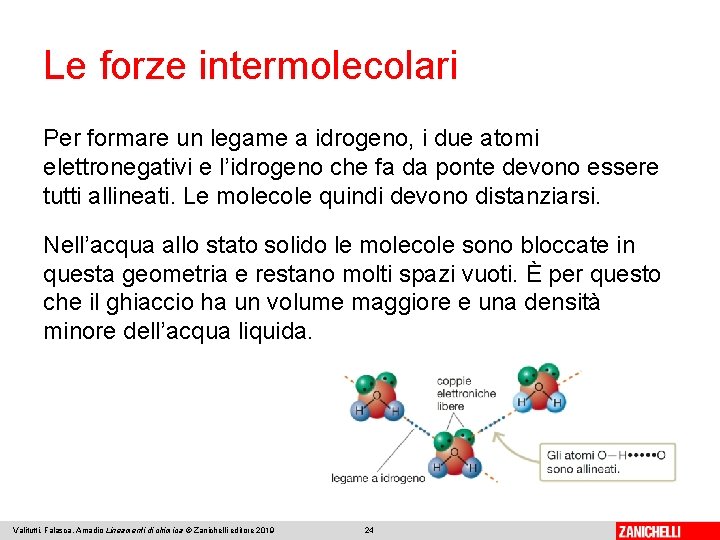 Le forze intermolecolari Per formare un legame a idrogeno, i due atomi elettronegativi e