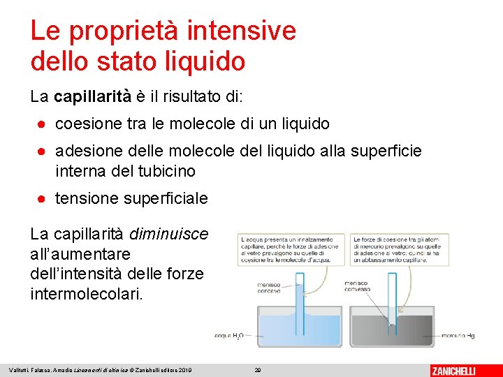 Le proprietà intensive dello stato liquido La capillarità è il risultato di: ● coesione