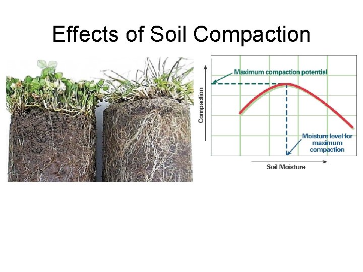 Effects of Soil Compaction 