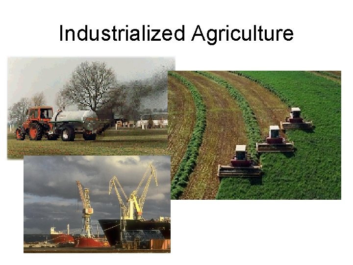 Industrialized Agriculture 