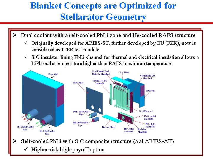 Blanket Concepts are Optimized for Stellarator Geometry Ø Dual coolant with a self-cooled Pb.