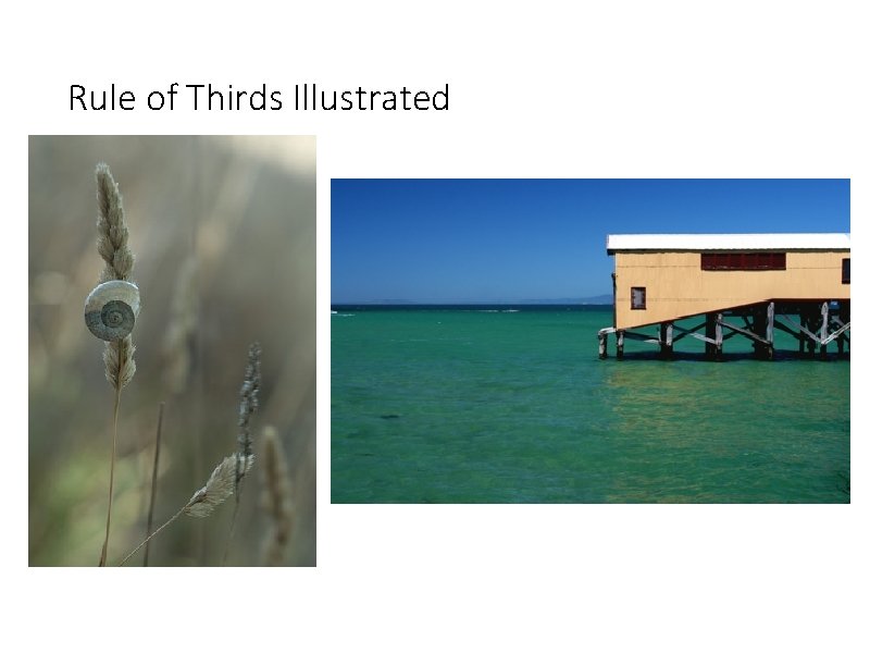 Rule of Thirds Illustrated 