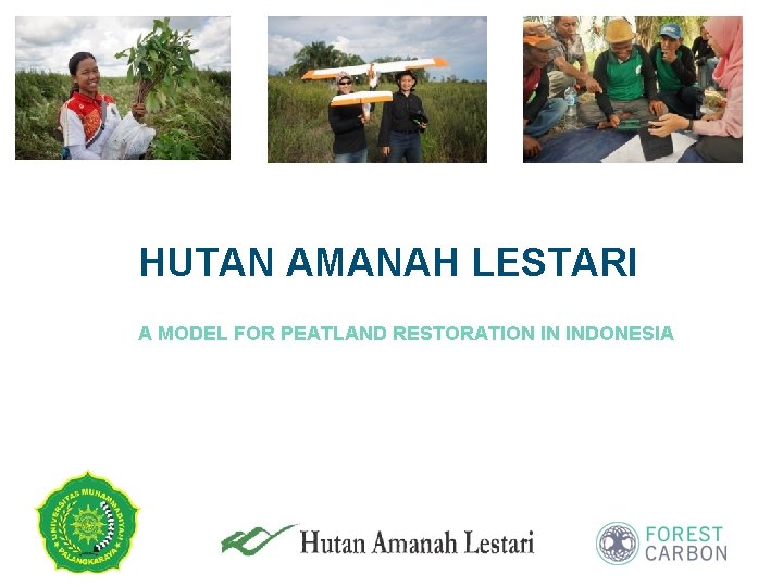 HUTAN AMANAH LESTARI A MODEL FOR PEATLAND RESTORATION IN INDONESIA HUTAN AMANAH LESTARI A MODEL FOR PEATLAND RESTORATION IN INDONESIA