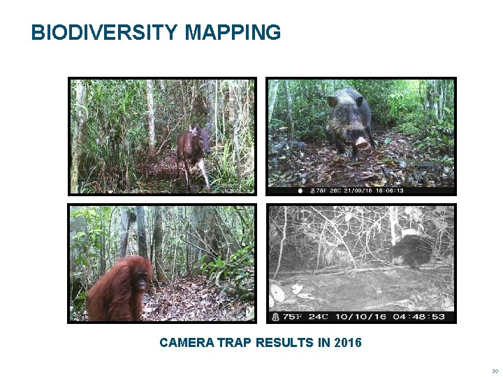 BIODIVERSITY MAPPING CAMERA TRAP RESULTS IN 2016 10 