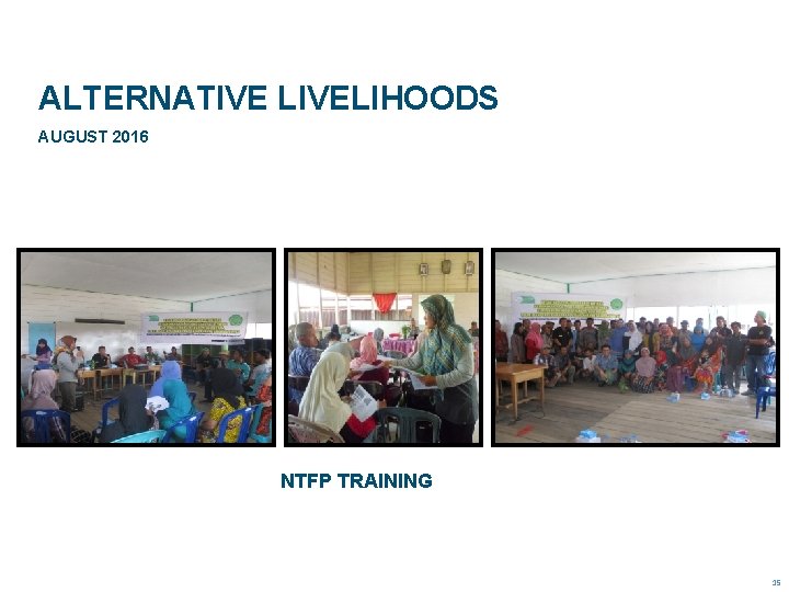 ALTERNATIVE LIVELIHOODS AUGUST 2016 NTFP TRAINING 15 