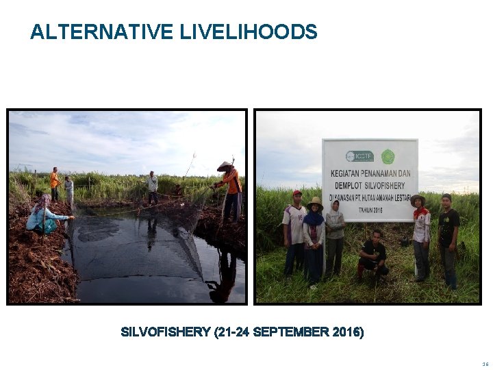 ALTERNATIVE LIVELIHOODS SILVOFISHERY (21 -24 SEPTEMBER 2016) 16 