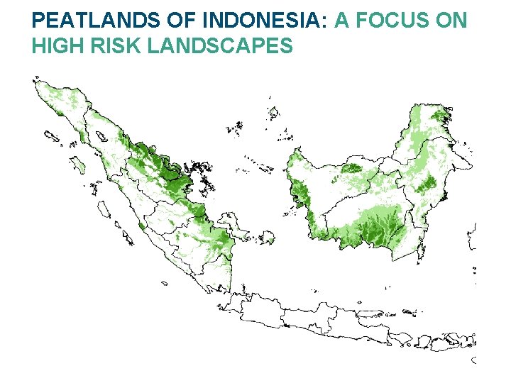 PEATLANDS OF INDONESIA: A FOCUS ON HIGH RISK LANDSCAPES 