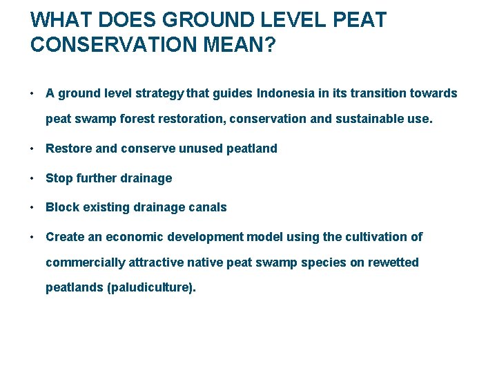 WHAT DOES GROUND LEVEL PEAT CONSERVATION MEAN? • A ground level strategy that guides