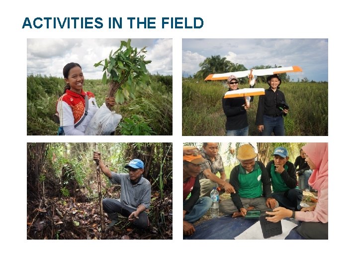 ACTIVITIES IN THE FIELD 