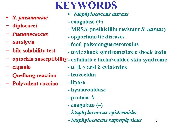 KEYWORDS • − − − − • Staphylococcus aureus S. pneumoniae - coagulase (+)