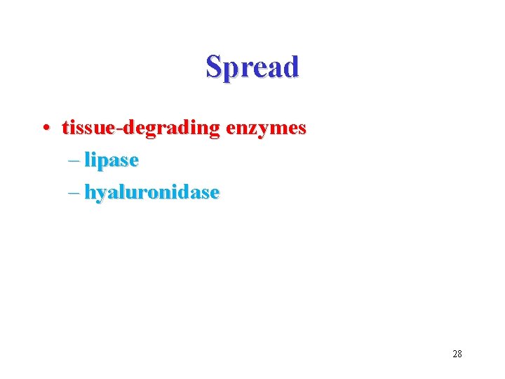 Spread • tissue-degrading enzymes – lipase – hyaluronidase 28 