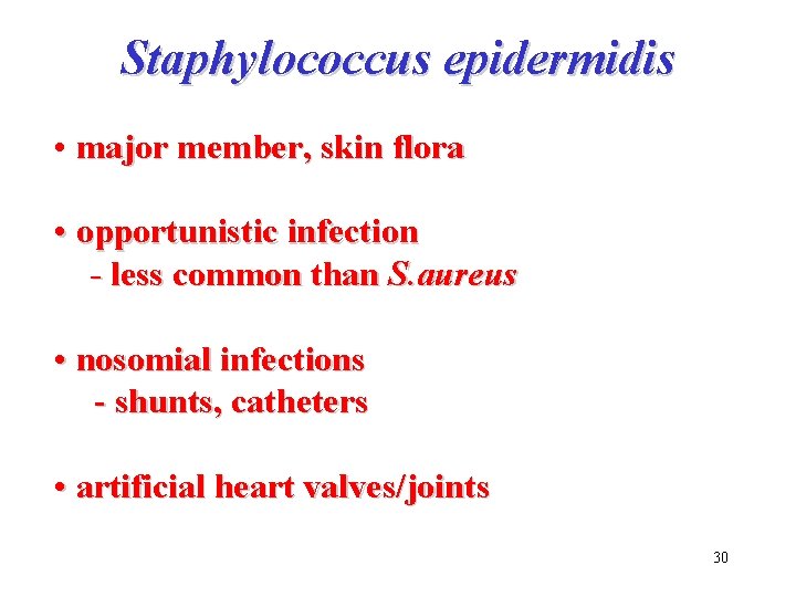 Staphylococcus epidermidis • major member, skin flora • opportunistic infection - less common than