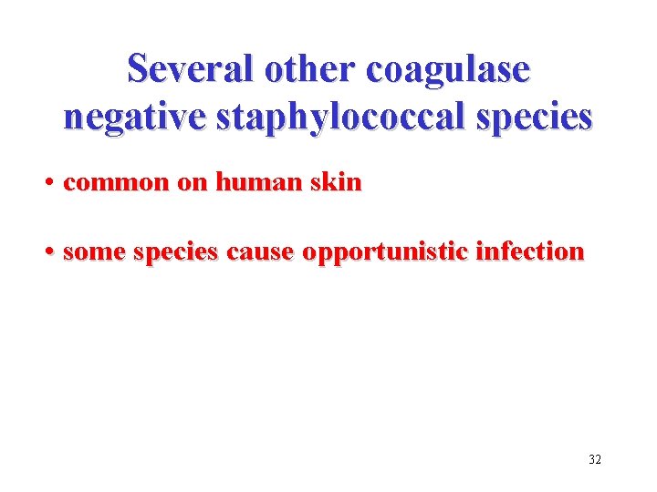 Several other coagulase negative staphylococcal species • common on human skin • some species