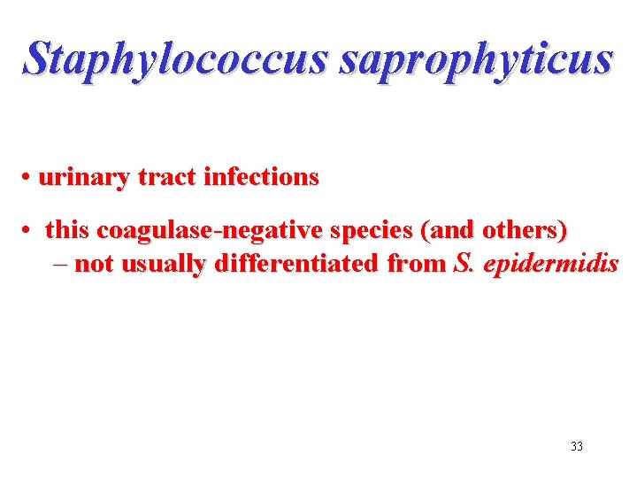 Staphylococcus saprophyticus • urinary tract infections • this coagulase-negative species (and others) – not