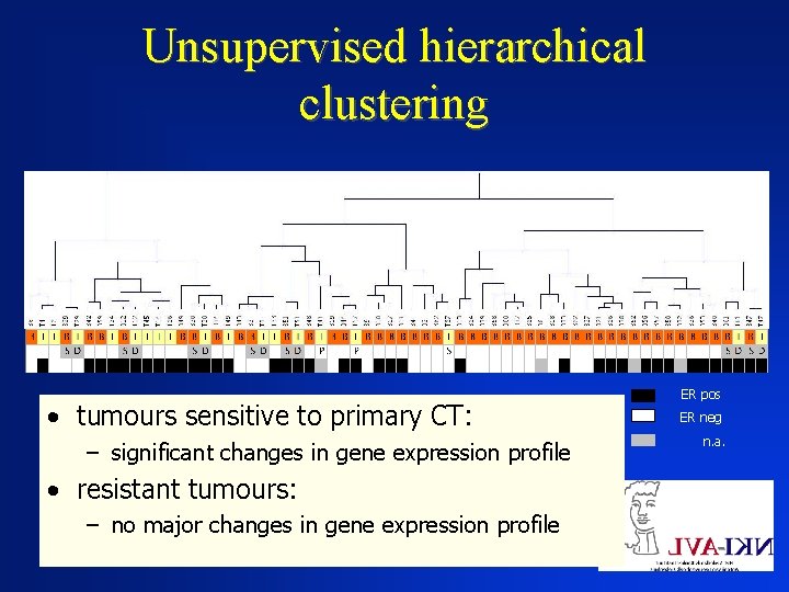 Unsupervised hierarchical clustering • all biopsies and B – biopsy tumours sensitive to primary