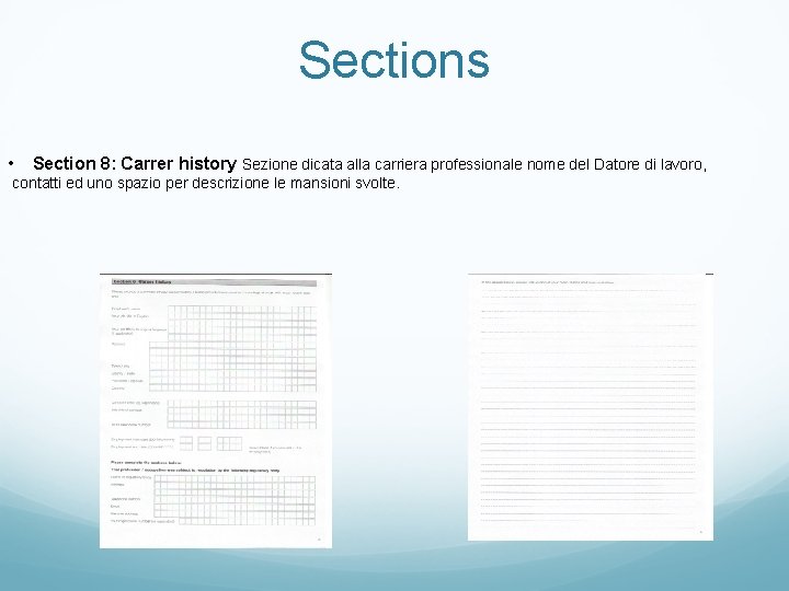 Sections • Section 8: Carrer history Sezione dicata alla carriera professionale nome del Datore