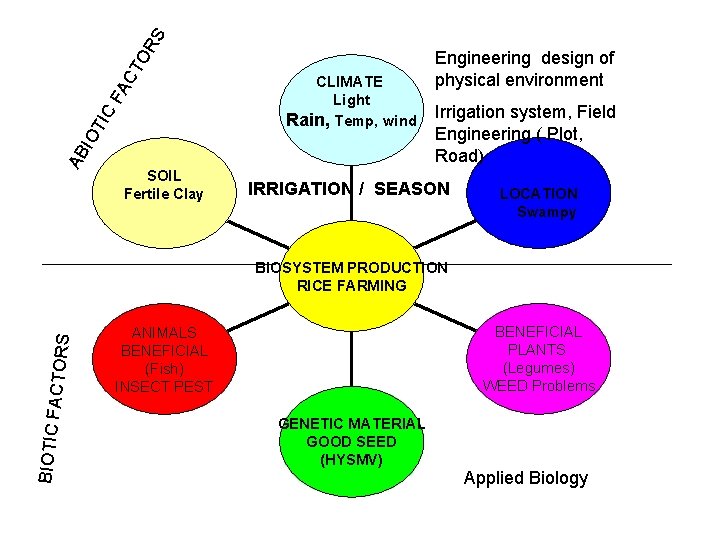 RS FA CT O IC IO T AB SOIL Fertile Clay CLIMATE Light Rain,