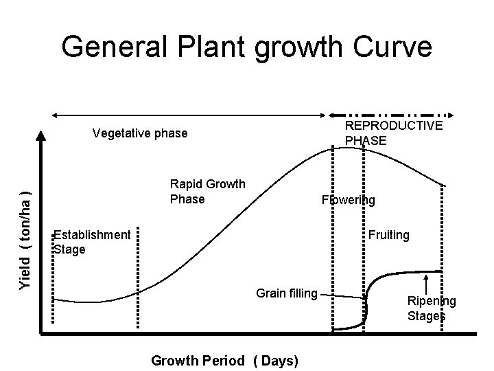 General Plant growth Curve REPRODUCTIVE PHASE Yield ( ton/ha ) Vegetative phase Rapid Growth