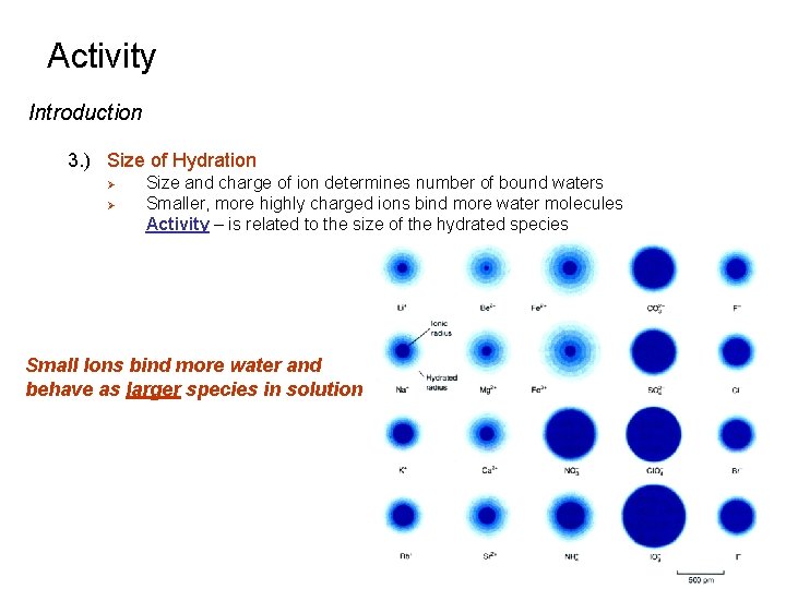 Activity Introduction 3. ) Size of Hydration Ø Ø Size and charge of ion