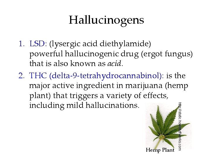 Hallucinogens Hemp Plant http: //static. howstuffworks. com 1. LSD: (lysergic acid diethylamide) powerful hallucinogenic