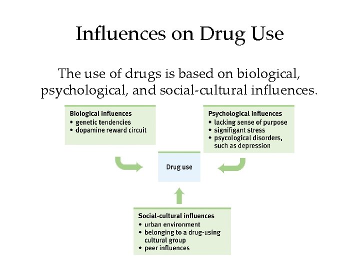 Influences on Drug Use The use of drugs is based on biological, psychological, and