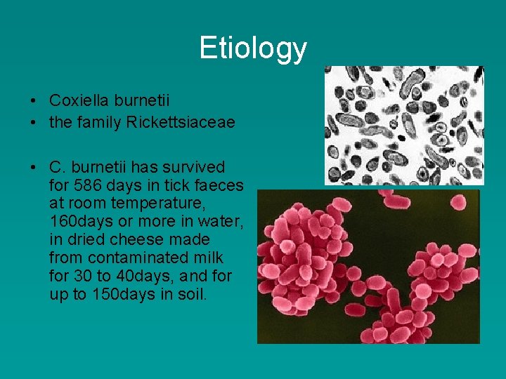 Etiology • Coxiella burnetii • the family Rickettsiaceae • C. burnetii has survived for