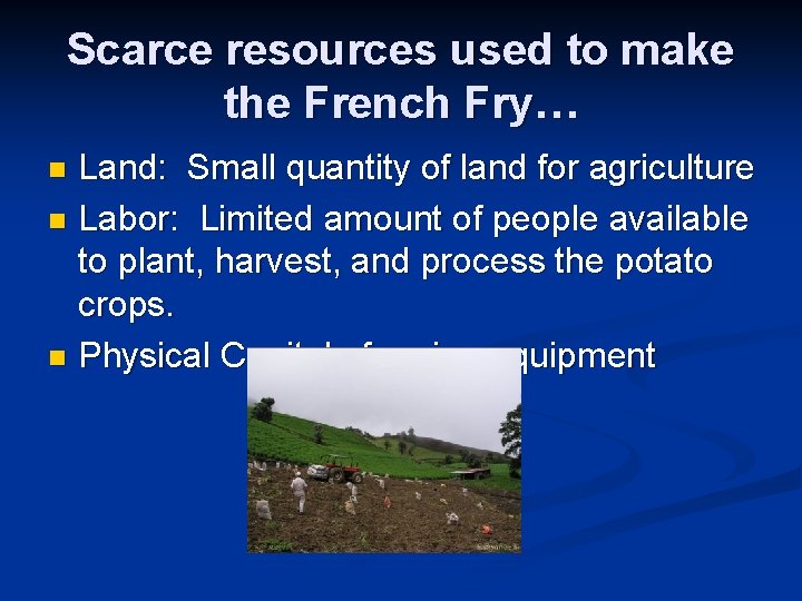 Scarce resources used to make the French Fry… Land: Small quantity of land for