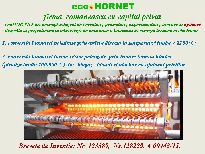 firma romaneasca cu capital privat - eco. HORNET un concept integrat de cercetare, proiectare,
