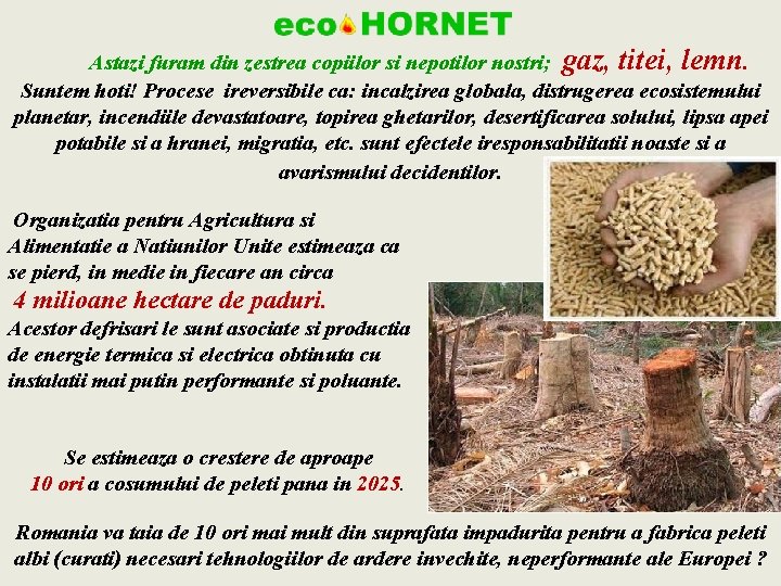  Astazi furam din zestrea copiilor si nepotilor nostri; gaz, titei, lemn. Suntem hoti!