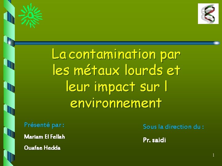 La contamination par les métaux lourds et leur impact sur l environnement Présenté par