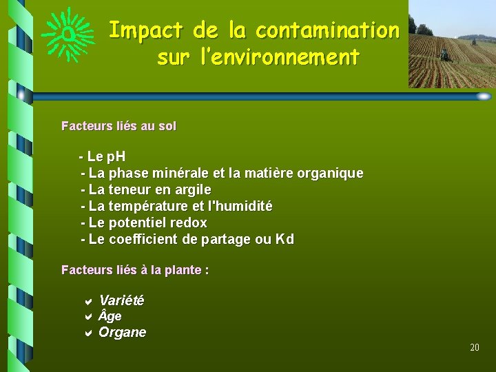 Impact de la contamination sur l’environnement Facteurs liés au sol - Le p. H