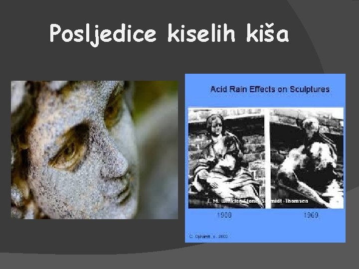 Posljedice kiselih kiša 