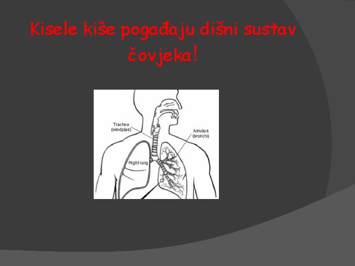 Kisele kiše pogađaju dišni sustav čovjeka! 