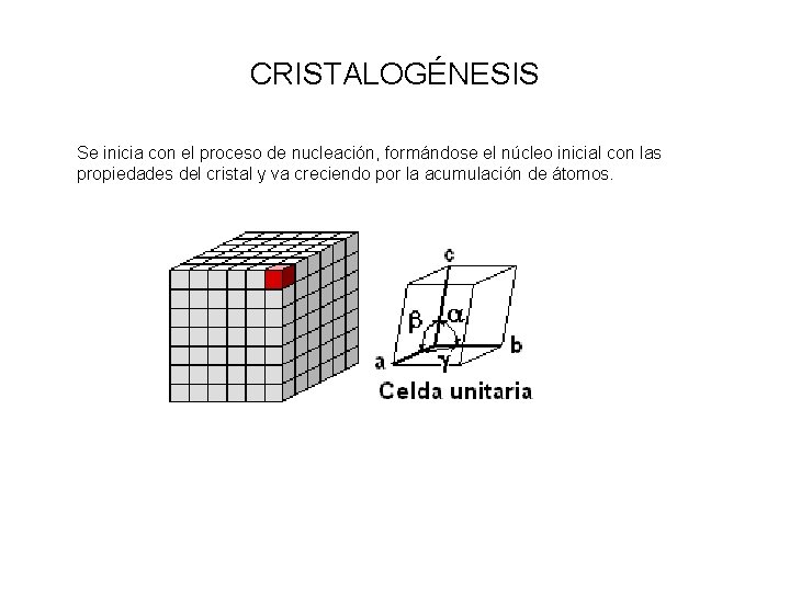 CRISTALOGÉNESIS Se inicia con el proceso de nucleación, formándose el núcleo inicial con las