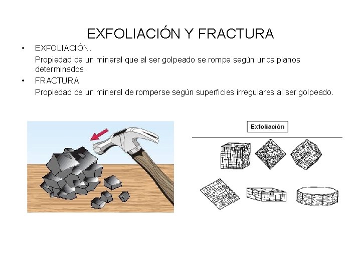 EXFOLIACIÓN Y FRACTURA • • EXFOLIACIÓN. Propiedad de un mineral que al ser golpeado