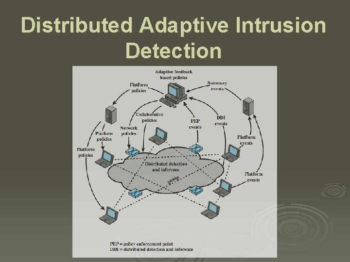 Distributed Adaptive Intrusion Detection 